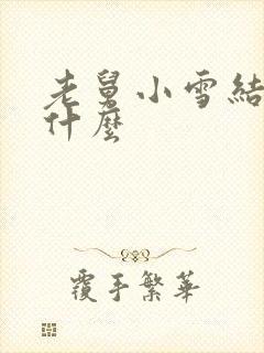 老舅小雪结局是什么封面