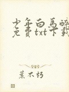 少年白马醉春风免费txt下载封面