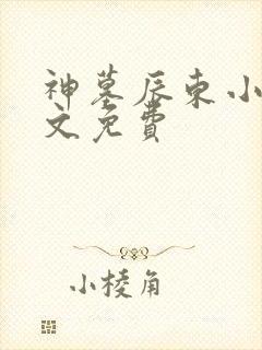 神墓辰东小说全文免费