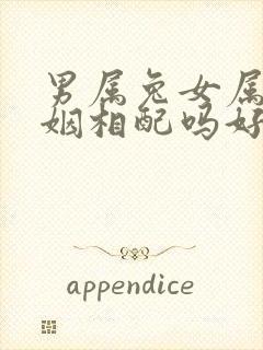 男属兔女属鼠婚姻相配吗好吗