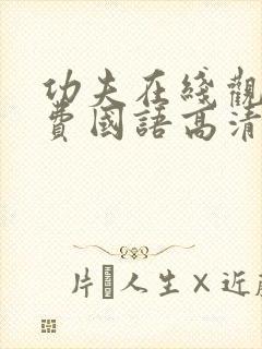 功夫在线观看免费国语高清