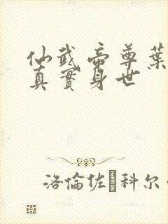 仙武帝尊叶辰的真实身世