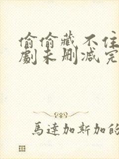 偷偷藏不住广播剧未删减完整版