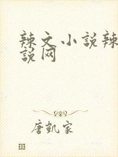 辣文小说辣文小说网封面