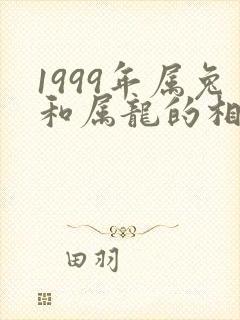 1999年属兔和属龙的相配吗