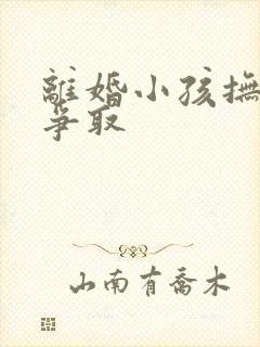 离婚小孩抚养权争取