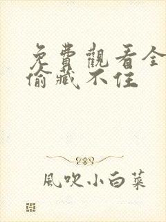 免费观看全集偷偷藏不住