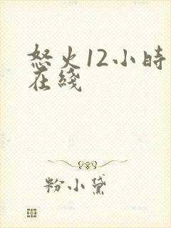 怒火12小时 在线