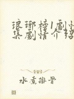 琅琊榜1剧情分集剧情介绍封面