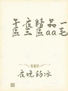 午夜精品一区二区三区aa毛片