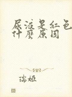 尿液是红色的是什么原因