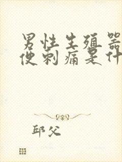 男性生殖器红小便刺痛是什么原因封面