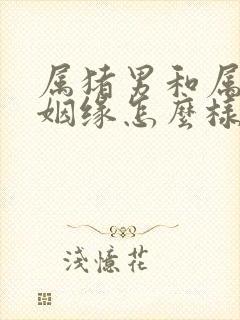 属猪男和属牛女姻缘怎么样