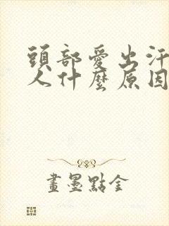 头部爱出汗的男人什么原因