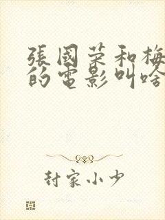 张国荣和梅婷演的电影叫啥