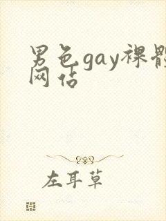 男色gay裸体网站