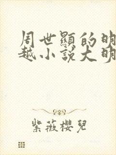 周世显的明朝穿越小说大明驸马爷