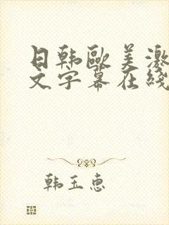 日韩欧美激情中文字幕在线观看封面