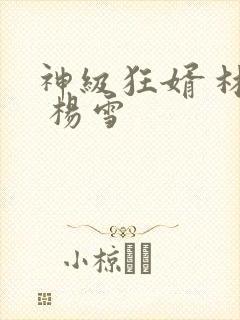 神级狂婿 林凡 杨雪