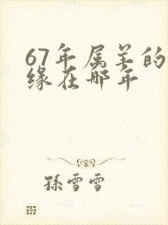 67年属羊的姻缘在哪年