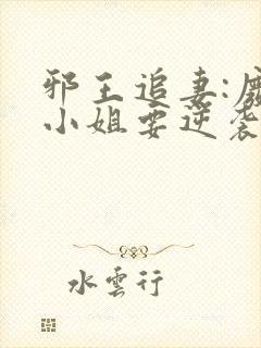 邪王追妻:废柴小姐要逆袭完整版封面