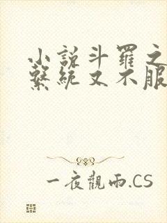 小说斗罗之我的系统又不服气了免费下载