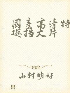 国产高清特黄无遮挡大片