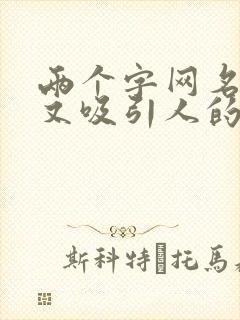 两个字网名好听又吸引人的