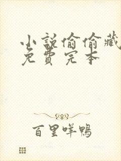 小说偷偷藏不住免费完本