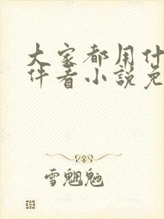 大家都用什么软件看小说免费