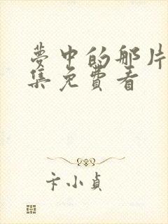 梦中的那片海全集免费看