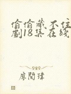 偷偷藏不住广播剧18集在线收听免费