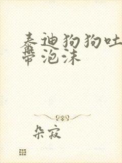 泰迪狗狗吐黄水带泡沫