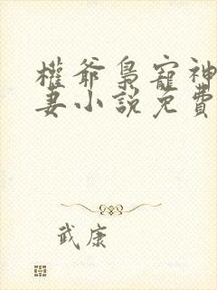 权爷枭宠神秘娇妻小说免费阅读封面