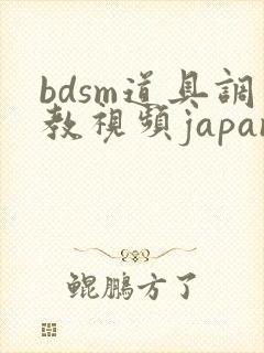 bdsm道具调教视频japanese