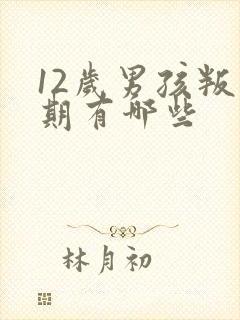 12岁男孩叛逆期有哪些