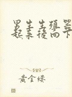 男生生殖器官硬起来后向下弯