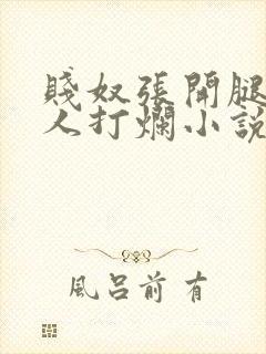 贱奴张开腿给主人打烂小说