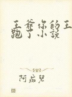 王爷你的王妃又跑了小说