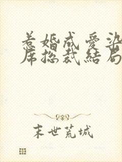 惹婚成爱染指首席总裁结局封面