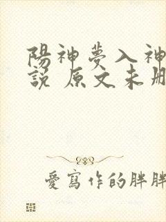 阳神梦入神机小说 原文未删减