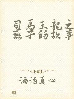 司马玉龙之妻小燕子的故事封面