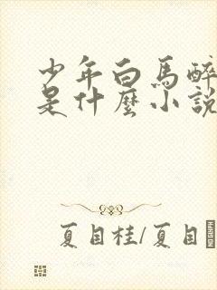 少年白马醉春风是什么小说改编的