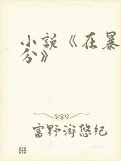 小说《在暴雪时分》