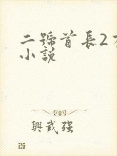 二号首长2有声小说