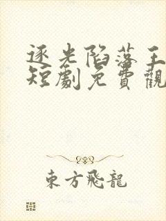 逐光陷落王沐凯短剧免费观看全集完