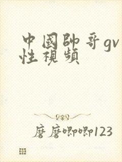 中国帅哥gv同性视频