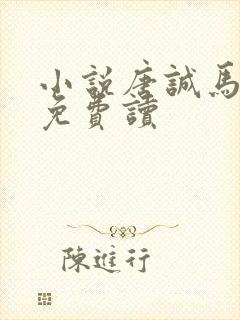 小说唐诚马玉婷免费读