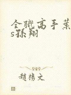 全职高手叶修vs孙翔