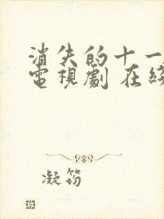 消失的十一层 电视剧 在线观看